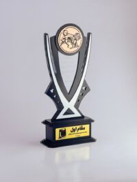 تندیس بدنسازی کد 9900