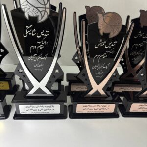 تندیس مسابقات بسکتبال کد 5587